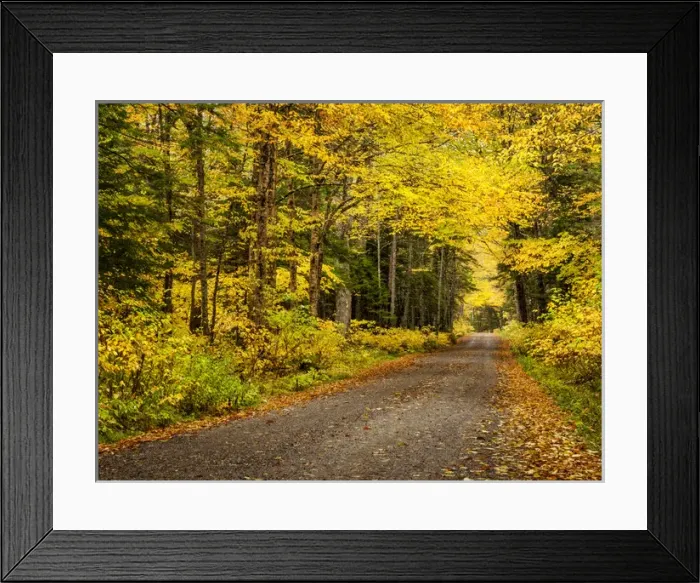 Framed Print : USA, New Hampshire, White Mountains, Fall color along Jefferson Notch Road Framed Print : USA, New Hampshire, White Mountains, Fall color along Jefferson Notch Road
