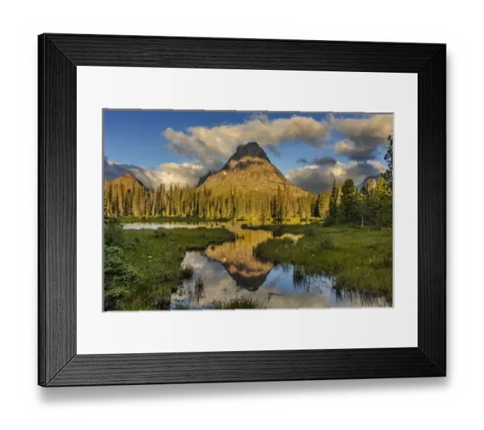 Framed Print : Sinopah Mountain reflects in beaver pond in Two Medicine Valley in Glacier National Park Framed Print : Sinopah Mountain reflects in beaver pond in Two Medicine Valley in Glacier National Park
