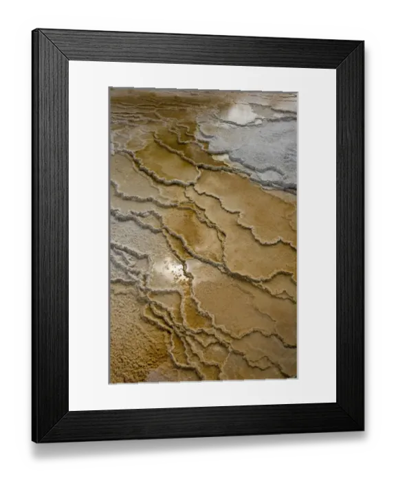 Framed Print : Canary Springs, Mammoth Terrace, Yellowstone National Park, Wyoming Framed Print : Canary Springs, Mammoth Terrace, Yellowstone National Park, Wyoming