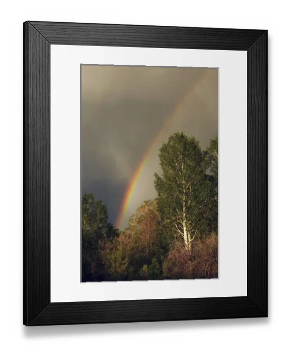 Framed Print : Rainbow over Gardiner, Montana, USA Framed Print : Rainbow over Gardiner, Montana, USA