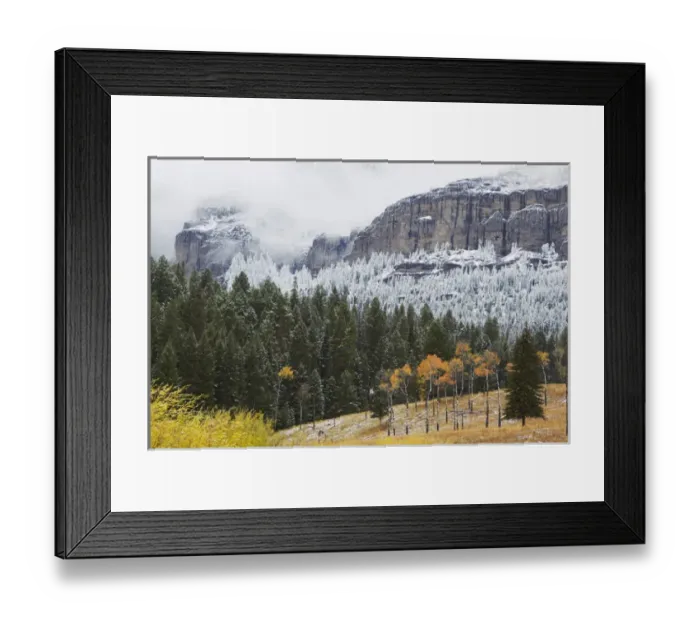Framed Print : Yellowstone National Park, Autumn Frost Framed Print : Yellowstone National Park, Autumn Frost