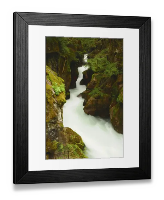 Framed Print : Avalanche Creek, Glacier National Park, Montana, USA Framed Print : Avalanche Creek, Glacier National Park, Montana, USA