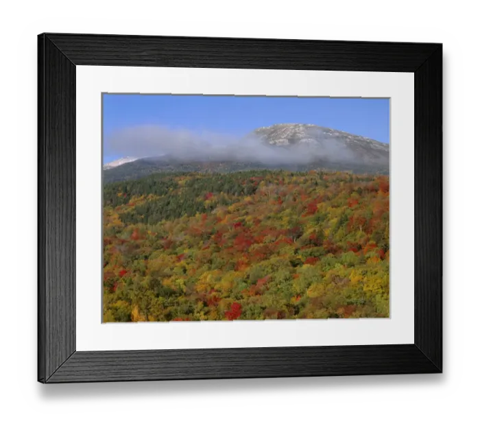 Framed Print : USA, New Hampshire, White Mountain National Forest, Fall colored hardwoods beneath