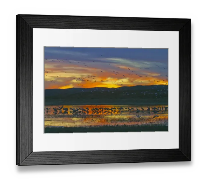 Framed Print : USA, New Mexico, Bosque del Apache National Wildlife Refuge