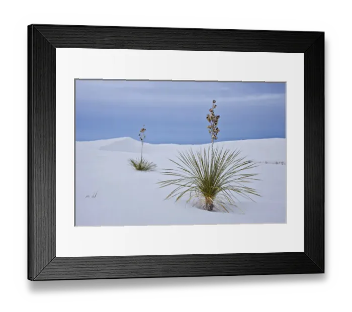 Framed Print : USA, New Mexico, White Sands National Monument Framed Print : USA, New Mexico, White Sands National Monument