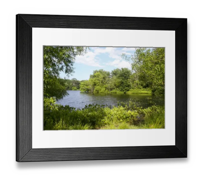 Framed Print : Turkey Swamp Park, Freehold, New Jersey, United States, North America