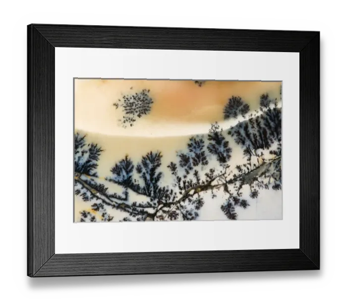 Framed Print : USA, Nevada. Close-up of amethyst sage agate