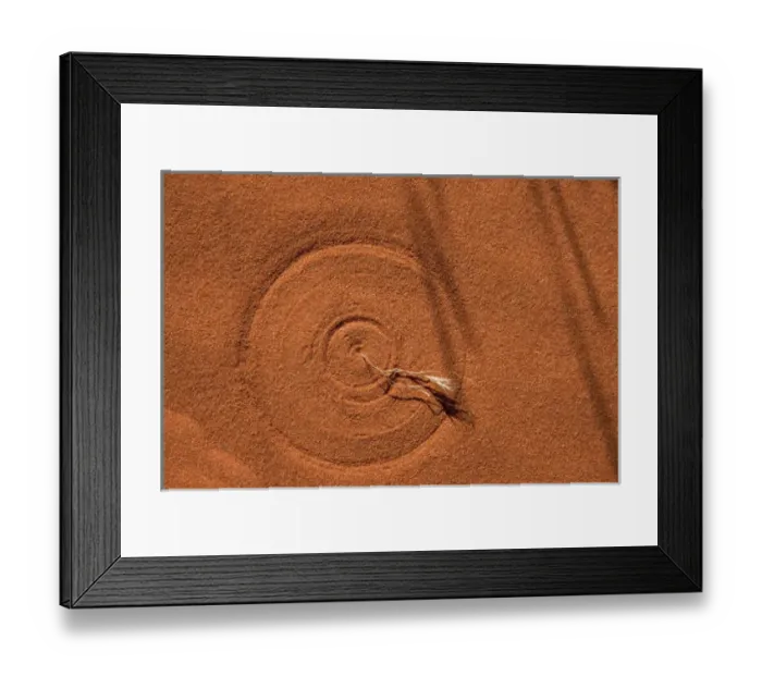 Framed Print : USA, Nevada, Valley of Fire State Park. Steady but gentle breezes cause a dying flower Framed Print : USA, Nevada, Valley of Fire State Park. Steady but gentle breezes cause a dying flower