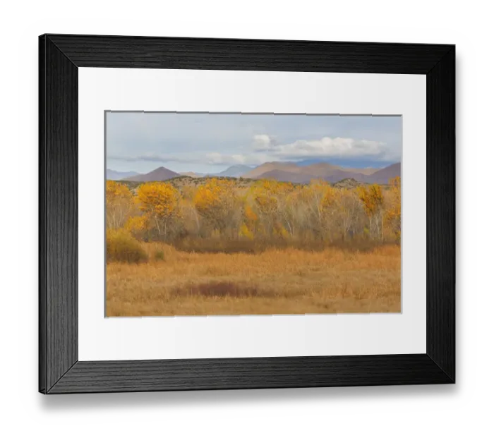 Framed Print : USA, New Mexico, Bosque del Apache National Wildlife Refuge. Fall colors in grasses