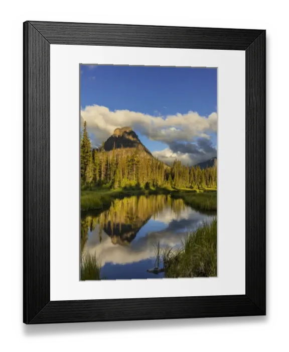 Framed Print : Sinopah Mountain reflects in beaver pond in Two Medicine Valley in Glacier National Park Framed Print : Sinopah Mountain reflects in beaver pond in Two Medicine Valley in Glacier National Park
