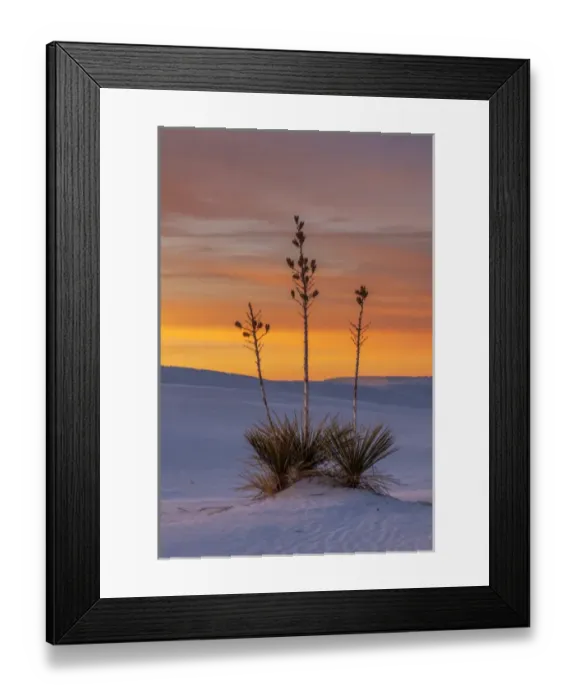 Framed Print : USA, New Mexico, White Sands National Monument. Sunset on desert and yucca. Credit as