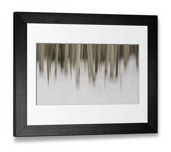 Framed Print : USA, New Mexico. Artistic Blur of Aspen Trees in Snow