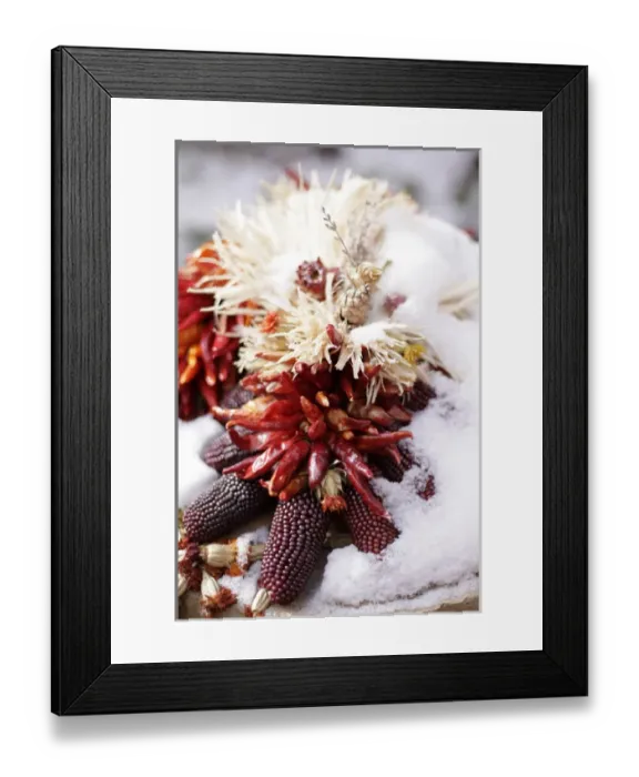 Framed Print : Santa Fe, New Mexico, United States