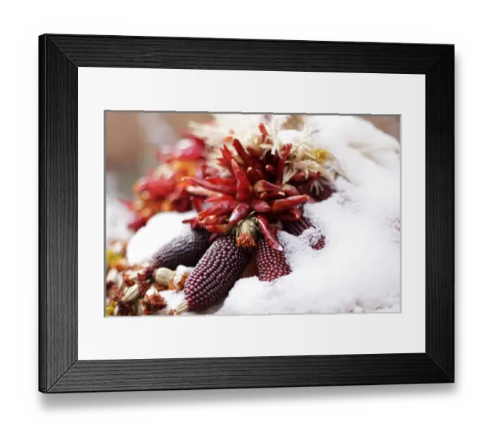 Framed Print : Santa Fe, New Mexico, United States Framed Print : Santa Fe, New Mexico, United States