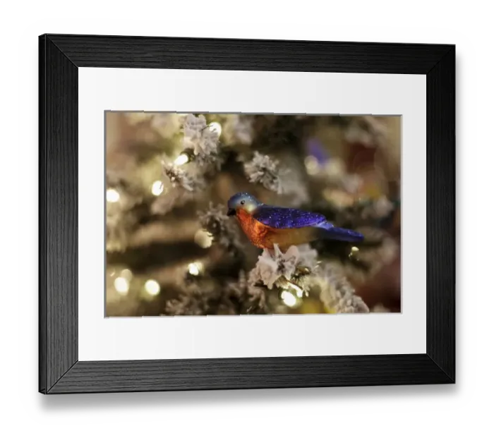 Framed Print : Santa Fe, New Mexico, United States Framed Print : Santa Fe, New Mexico, United States