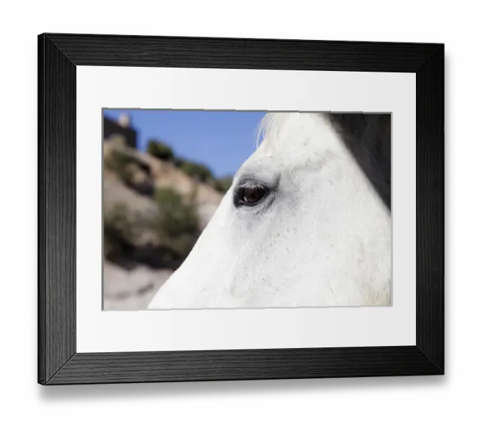 Framed Print : Santa Fe, New Mexico, United States Framed Print : Santa Fe, New Mexico, United States