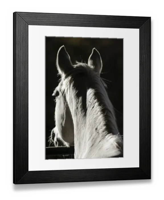 Framed Print : Santa Fe, New Mexico, United States Framed Print : Santa Fe, New Mexico, United States
