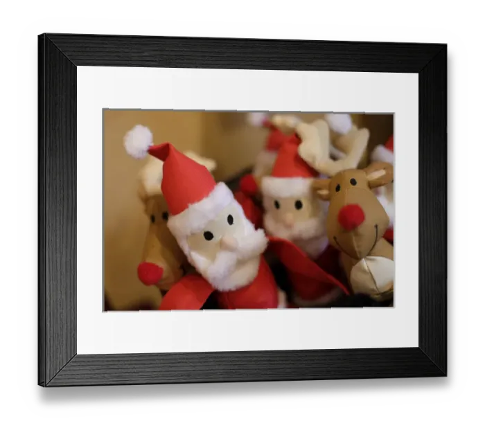 Framed Print : Santa Fe, New Mexico, United States. Holiday pet toys