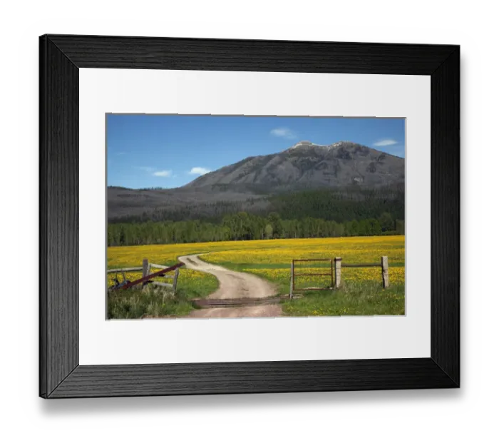 Framed Print : Country Roads Montana Countryside Yellow Flower Farm in front of Mountain Near Glacier Framed Print : Country Roads Montana Countryside Yellow Flower Farm in front of Mountain Near Glacier