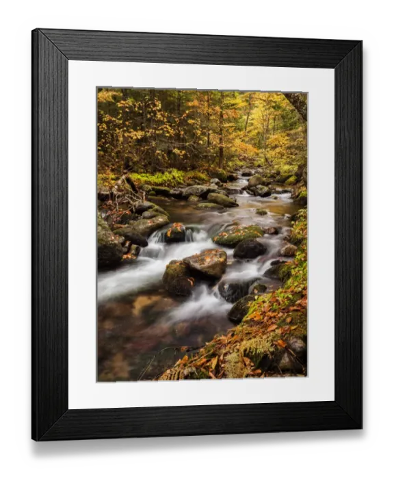 Framed Print : USA, New Hampshire, White Mountains, Fall color on Jefferson Brook Framed Print : USA, New Hampshire, White Mountains, Fall color on Jefferson Brook