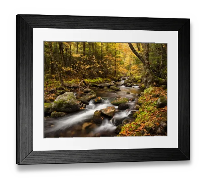 Framed Print : USA, New Hampshire, White Mountains, Fall color on Jefferson Brook Framed Print : USA, New Hampshire, White Mountains, Fall color on Jefferson Brook