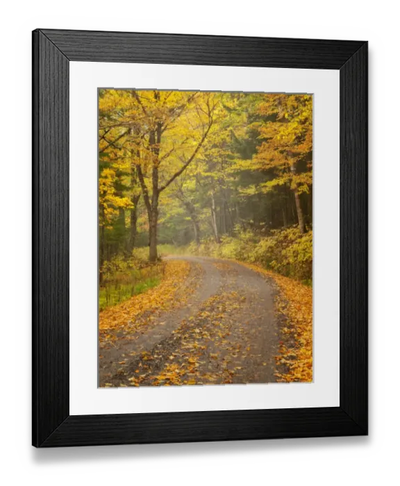 Framed Print : USA, New Hampshire, White Mountains, Fall color along Jefferson Notch Road Framed Print : USA, New Hampshire, White Mountains, Fall color along Jefferson Notch Road