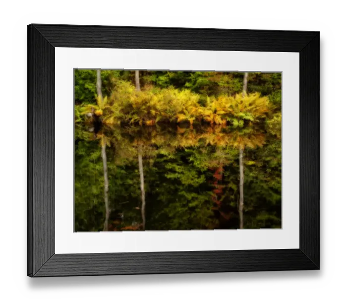 Framed Print : USA, New Hampshire, White Mountains, Fern reflections Framed Print : USA, New Hampshire, White Mountains, Fern reflections