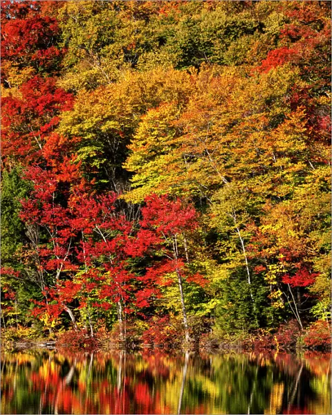 USA, New Hampshire, White Mountains, Fall reflections on Russell Pond