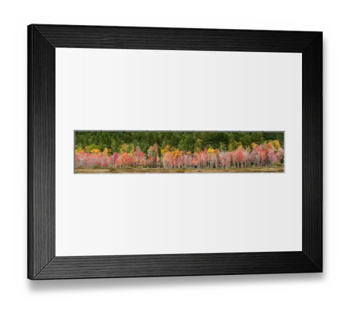 Framed Print : USA, New Hampshire, White Mountains, Panoramic view of maples in autumn Framed Print : USA, New Hampshire, White Mountains, Panoramic view of maples in autumn