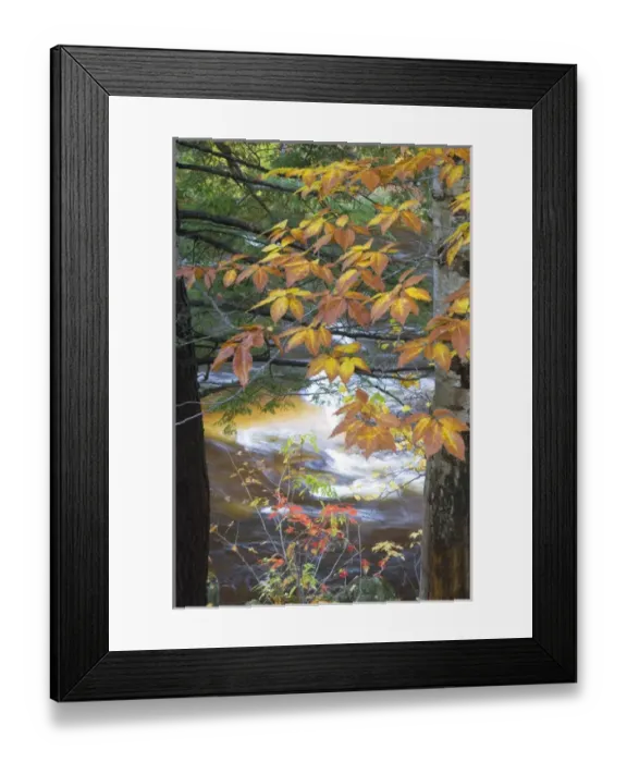 Framed Print : USA, New Hampshire, Stream and fall foliage Framed Print : USA, New Hampshire, Stream and fall foliage