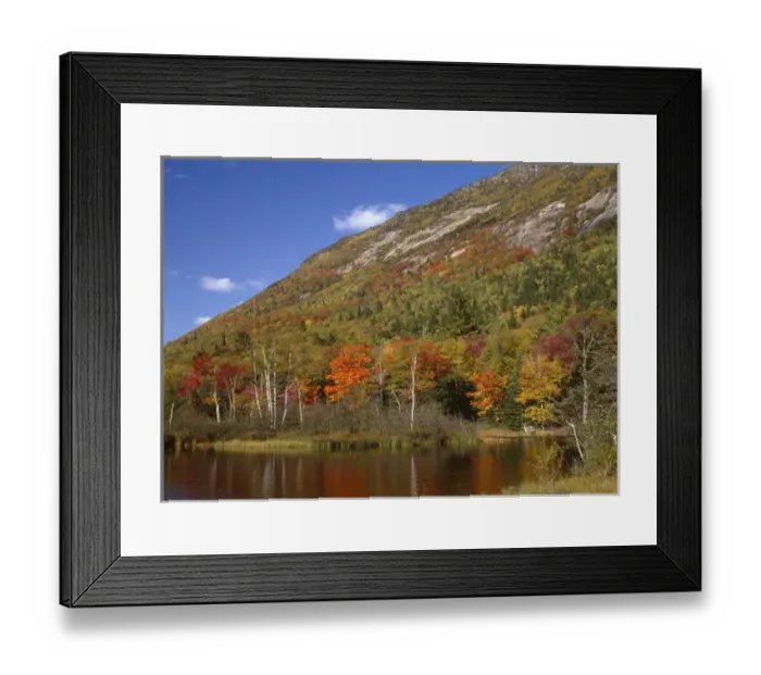 Framed Print : USA, New Hampshire, White Mountains, Crawford Notch State Park, Fall-colored northern Framed Print : USA, New Hampshire, White Mountains, Crawford Notch State Park, Fall-colored northern