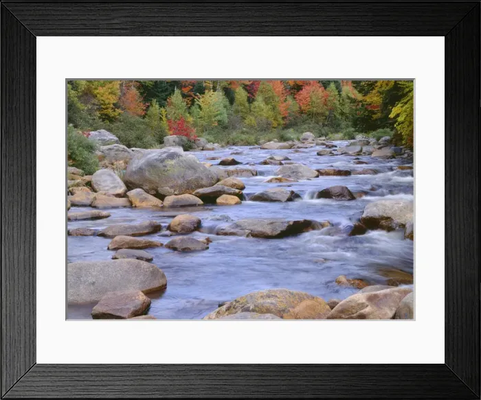Framed Print : USA, New Hampshire, White Mountain National Forest, Fall-colored hardwoods along