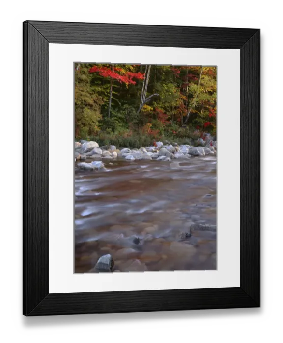 Framed Print : USA, New Hampshire, White Mountain National Forest, Autumn-colored hardwood forest Framed Print : USA, New Hampshire, White Mountain National Forest, Autumn-colored hardwood forest