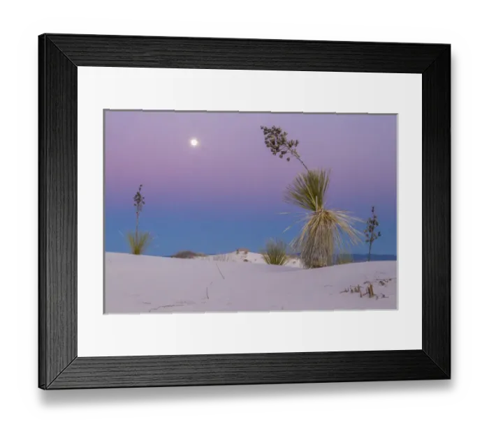 Framed Print : USA, New Mexico, White Sands National Monument. Moonrise over desert plant. Credit as Framed Print : USA, New Mexico, White Sands National Monument. Moonrise over desert plant. Credit as