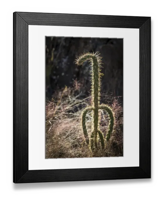 Framed Print : USA, New Mexico, Valley of Fires Recreation Area