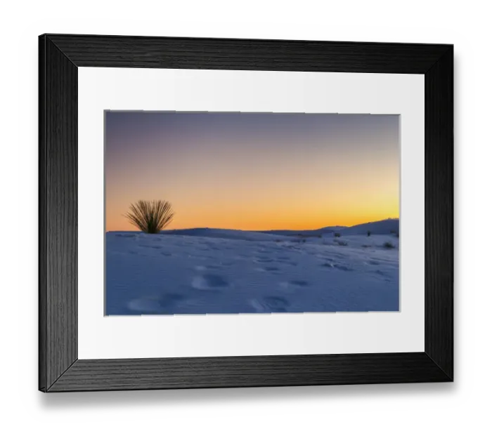 Framed Print : USA, New Mexico, White Sands National Monument, Sunset desert and yucca plant. Credit as Framed Print : USA, New Mexico, White Sands National Monument, Sunset desert and yucca plant. Credit as