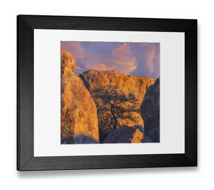 Framed Print : USA, New Mexico, City of Rocks State Park. Sunset on boulders and tree. Credit as Framed Print : USA, New Mexico, City of Rocks State Park. Sunset on boulders and tree. Credit as