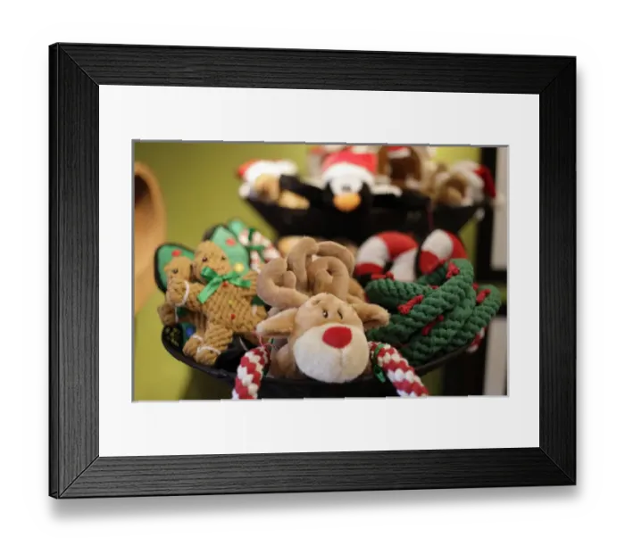 Framed Print : Santa Fe, New Mexico, United States. Holiday pet toys