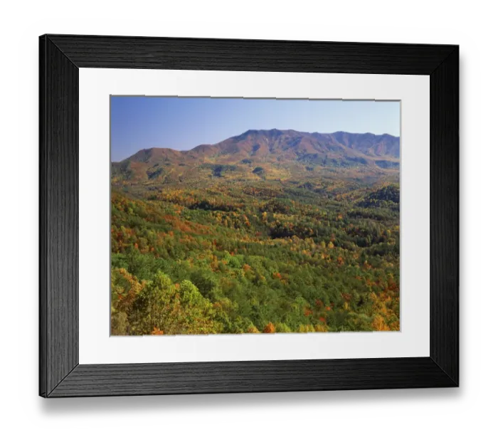 Framed Print : USA, North Carolina, Great Smoky Mountains National Park, View of Mt Cammerer Framed Print : USA, North Carolina, Great Smoky Mountains National Park, View of Mt Cammerer