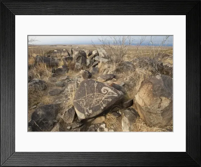 Framed Print : Petroglyph at the Three Rivers Petroglyph Site near Tularosa, New Mexico