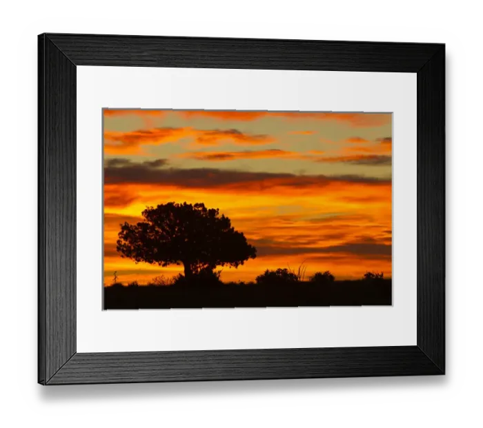 Framed Print : Sunrise, Cimarron, New Mexico, Hwy 64
