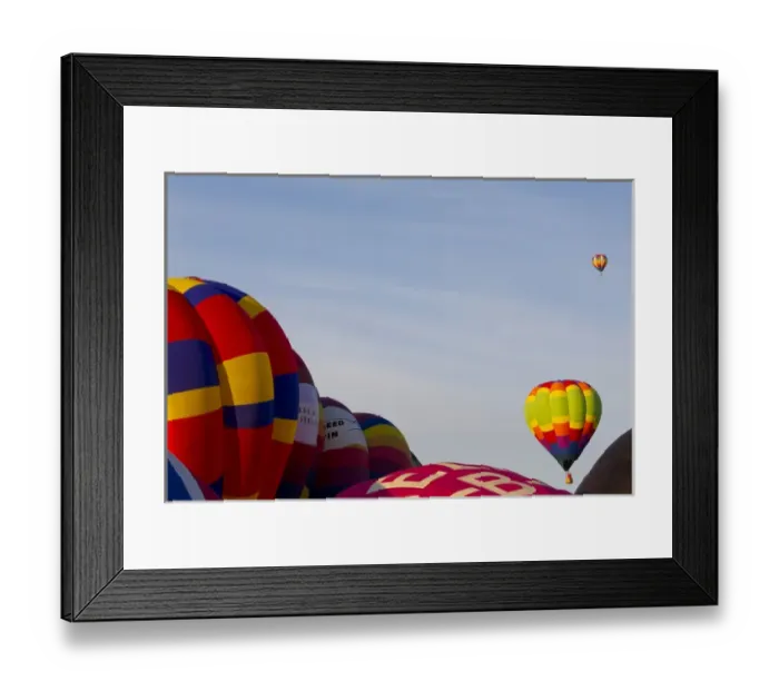 Framed Print : Balloons lifting for the Mass Ascension at the Albuquerque International Balloon Fiesta Framed Print : Balloons lifting for the Mass Ascension at the Albuquerque International Balloon Fiesta