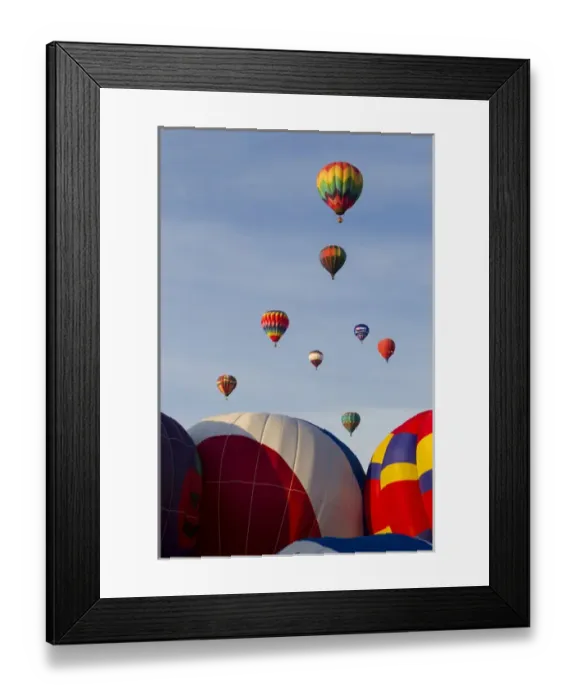 Framed Print : Balloons lifting for the Mass Ascension at the Albuquerque International Balloon Fiesta Framed Print : Balloons lifting for the Mass Ascension at the Albuquerque International Balloon Fiesta
