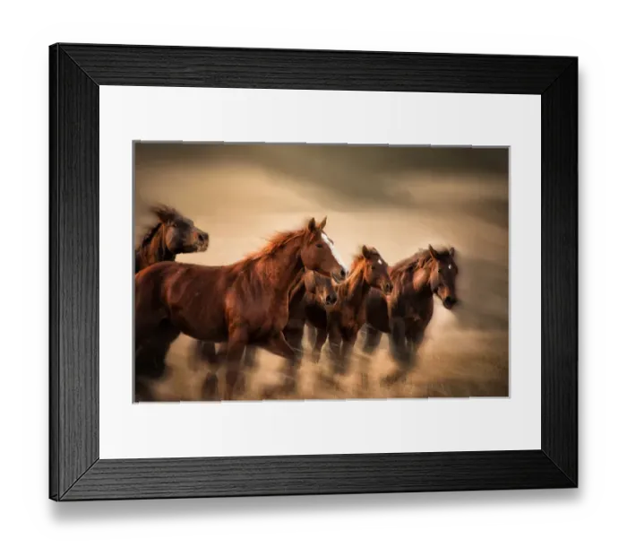 Framed Print : running horses, blur and flying manes Framed Print : running horses, blur and flying manes