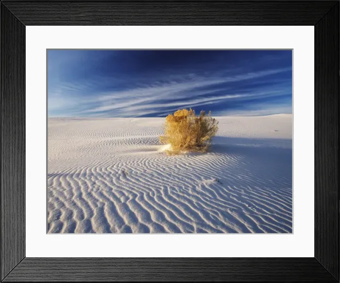 Framed Print : North America; USA; New Mexico, White Sands National Monument; Sand Dune Patterns