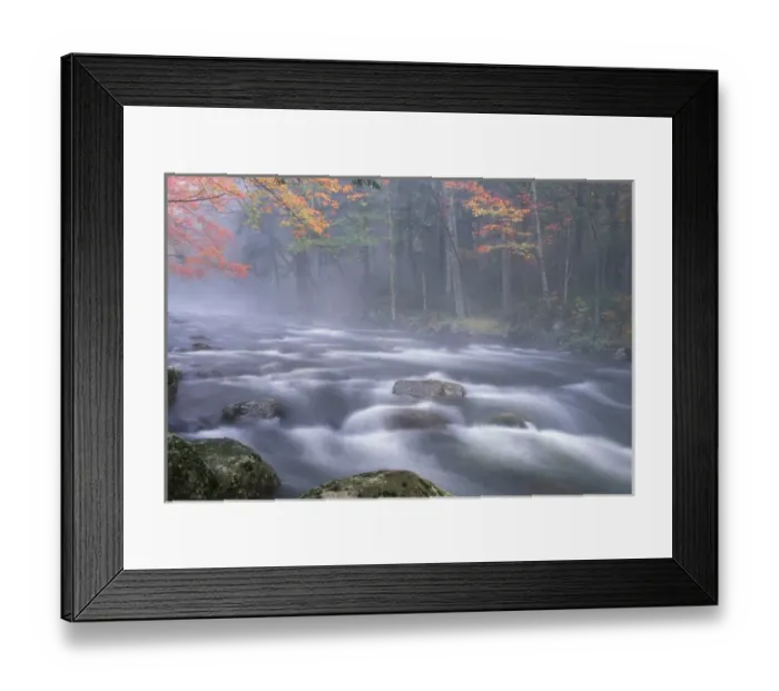 Framed Print : USA, New York, Adirondacks, Big Moose River rapids in Fall