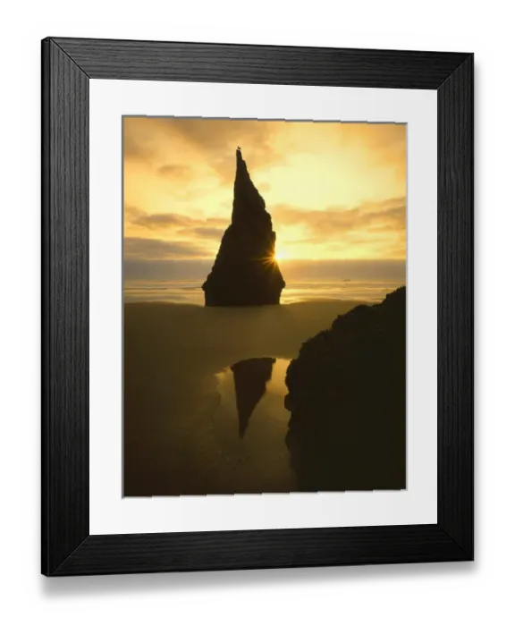 Framed Print : USA, Oregon, Bandon Beach, Sunset silhouettes seabird atop rock pinnacle. Credit as Framed Print : USA, Oregon, Bandon Beach, Sunset silhouettes seabird atop rock pinnacle. Credit as