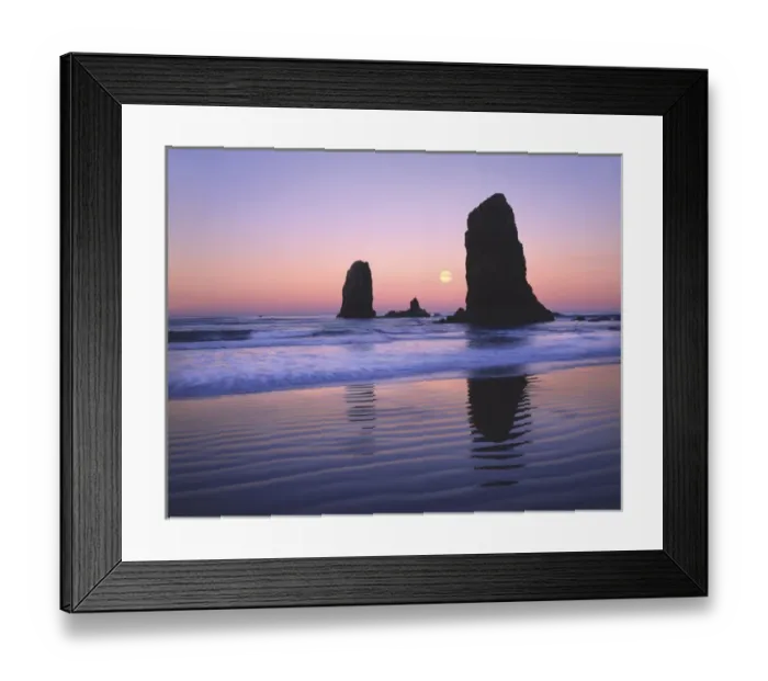 Framed Print : USA, Oregon, Cannon Beach, Moonset between The Needles rocks in early morning light Framed Print : USA, Oregon, Cannon Beach, Moonset between The Needles rocks in early morning light