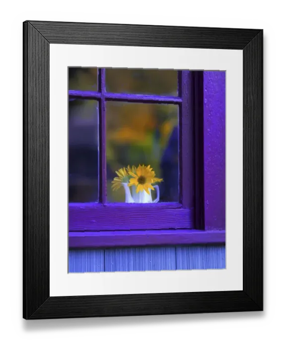 Framed Print : USA, Oregon, Brownsville. Looking through window of house at sunflowers in vase. Credit as