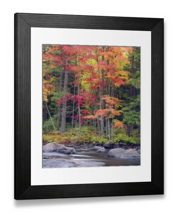 Framed Print : USA, New York, Autumn in the Adirondack Mountains Credit as: Christopher Talbot Framed Print : USA, New York, Autumn in the Adirondack Mountains Credit as: Christopher Talbot